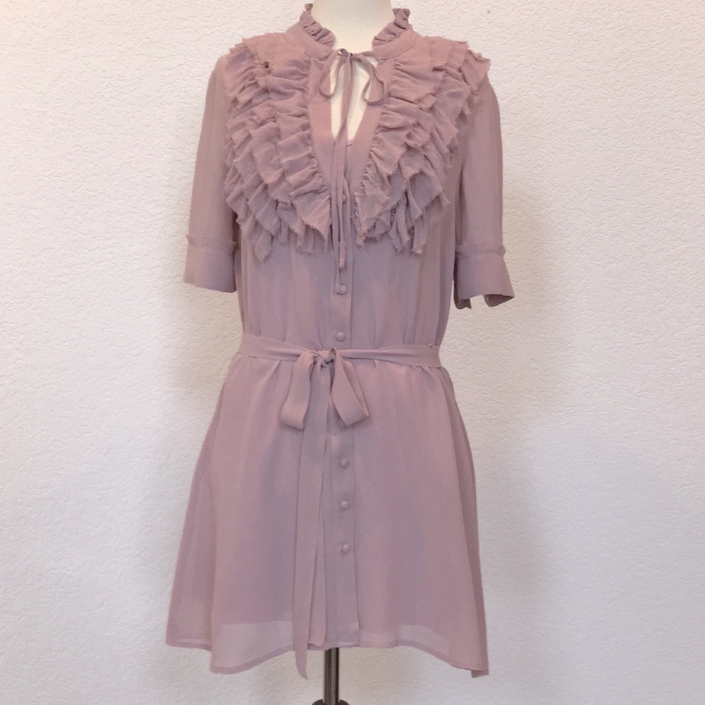 Anthropologie diaphanous chiffon tunic w slip sz 2 - Picture 2 of 4